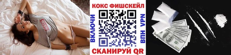 Кокаин FishScale  Ельня 