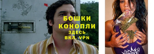 дмт Горняк