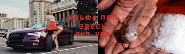 дмт Вяземский