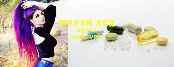 дмт Вяземский