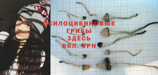 дмт Вяземский