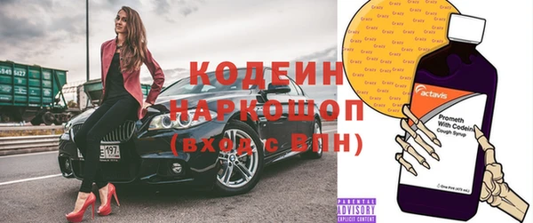 дмт Вяземский