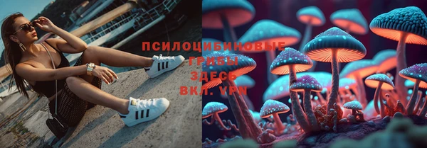 дмт Вяземский